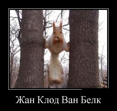 Прикрепленное изображение: demotivatory_19.jpg